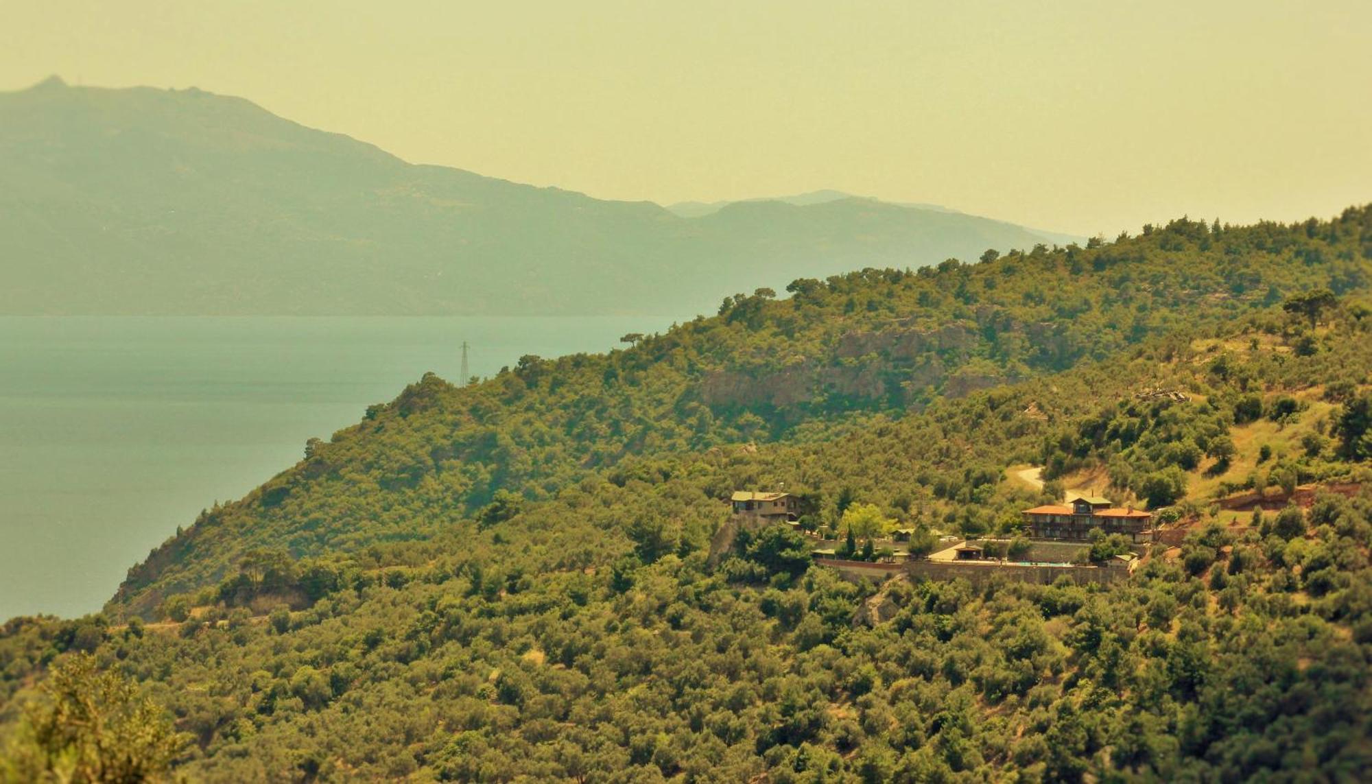 Assos Kartal Yuvasi Hotel سازلي المظهر الخارجي الصورة